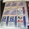 Image 11 : large binder of hockey cards