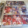 Image 6 : large binder of Flair hockey cards