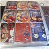 Image 5 : large binder of hockey cards