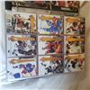 Image 9 : large binder of hockey cards