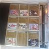 Image 13 : Huge binder hockey cards rookies