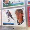 Image 6 : vintage hockey cards complete book