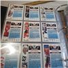 Image 9 : vintage hockey cards complete book