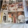 Image 7 : vintage hockey cards complete book