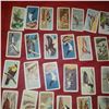 Image 5 : Nabisco Blue Ribbon Red Rose. tea vintage trading card collector lot