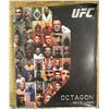 Image 1 : UFC Octagon Book
