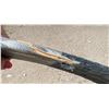 Image 3 : RH Sher-Wood Hockey Stick