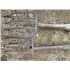 Image 8 : 2 Potato Forks