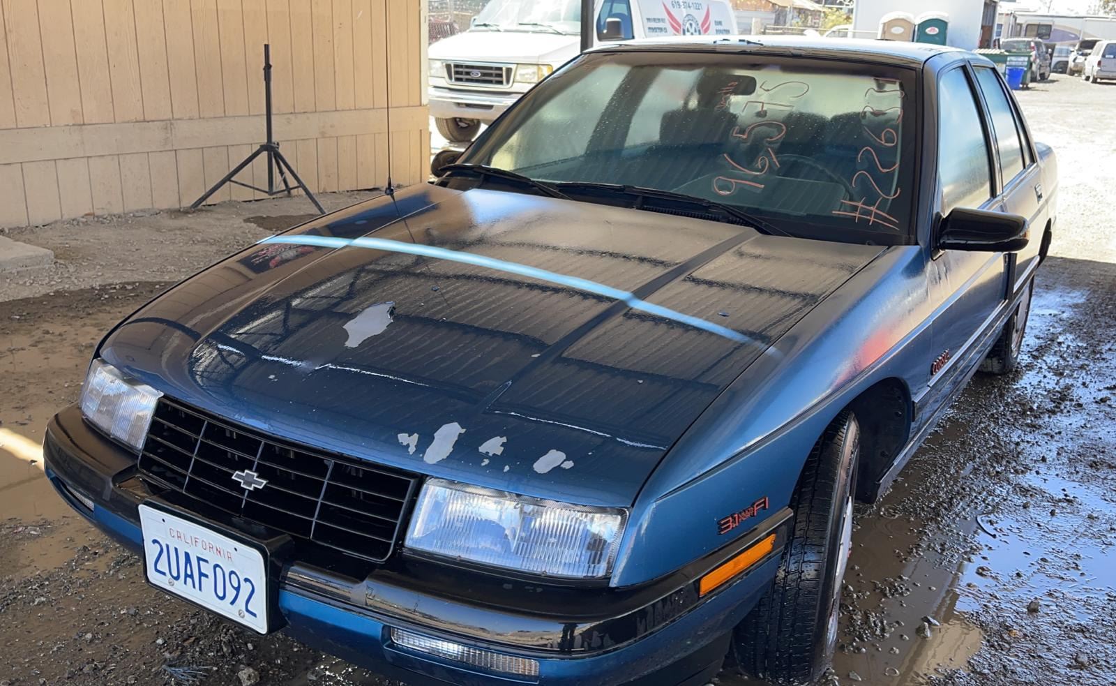 42312707_1.jpg?v=8D94D334BC66580