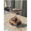 Image 1 : G+J Skeete 1997 Bird Art Statue