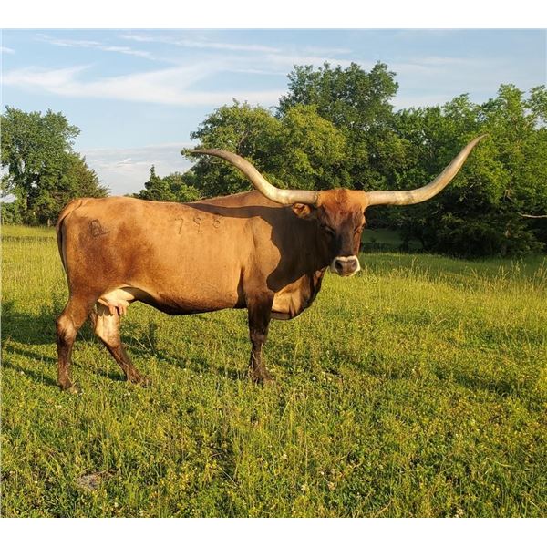 BL STRAWBERRY JAM 798