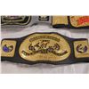 Image 2 : Wrestling Federation Belts