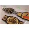 Image 4 : Wrestling Federation Belts