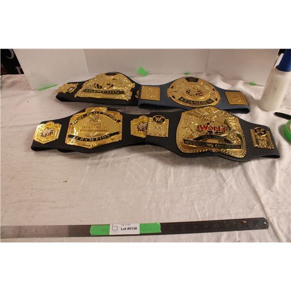 (2X THE MONEY) Wrestling Federation Belts