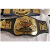 Image 2 : (2X THE MONEY) Wrestling Federation Belts