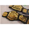 Image 3 : (2X THE MONEY) Wrestling Federation Belts