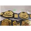 Image 4 : (2X THE MONEY) Wrestling Federation Belts