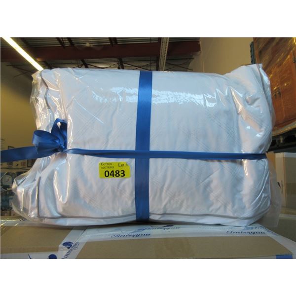 Package of 2 New Plush Queen Size Pillows