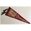 Image 1 : Disneyland Fantasyland Pennant