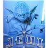 Image 3 : Disneyland Star Wars Jedi Training Academy Poster