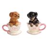 DACHSHUND PUPPIES IN TEA CUP