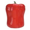 Image 1 : RED BELL PEPPER CANISTER