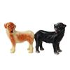 Image 1 : LABRADORS