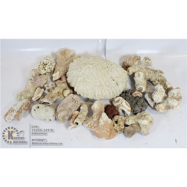  CORAL  - LOT OF ASSORTED PIECES