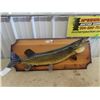 Image 1 : Northern Pike Mounted Fish 34" Long