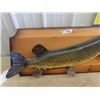 Image 3 : Northern Pike Mounted Fish 34" Long