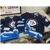 Image 2 : Wpg Jets Jersey XS - Bogosian, Wpg Jets - YS Byfuglien, St John Ice Caps Jersey , Team Canada Pictur