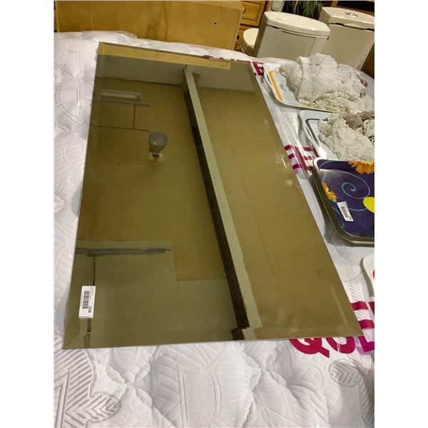 Mirror (24in x 48in)