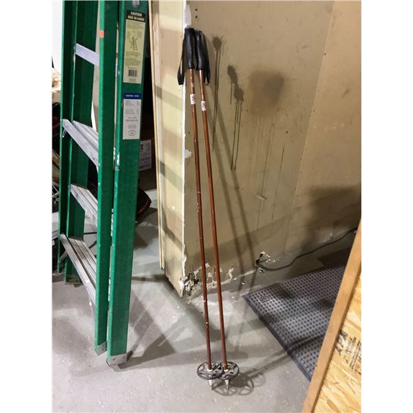 Summerlee Baamboo Hiking/Ski  Poles