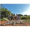 Image 12 : PHASA - Limpopo Hunt for 2 Hunters with US$ 4000 credit