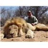 Image 18 : PHASA - Exclusive Lion Hunt, Limpopo