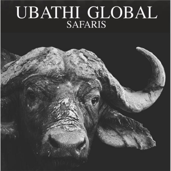 PHASA - Golden Wildebeest Hunt