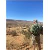 Image 2 : PHASA - Northern Cape Hunt and Taxidermy Credit for 2 - 4 Hunters