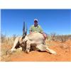 Image 3 : PHASA - Northern Cape Hunt and Taxidermy Credit for 2 - 4 Hunters