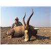 Image 19 : PHASA - Pick your animals in Limpopo for 4 Hunters