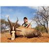 Image 2 : PHASA - Pick your animals in Limpopo for 4 Hunters