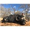 Image 6 : PHASA - Pick your animals in Limpopo for 4 Hunters