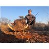 Image 8 : PHASA - Pick your animals in Limpopo for 4 Hunters