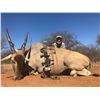 Image 9 : PHASA - Pick your animals in Limpopo for 4 Hunters