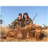 Image 2 : PHASA - Kalahari Hunt for Golden Wildebeest and Golden Gemsbuck