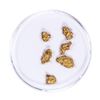 Image 1 : Lot of Gold Nuggets 2.49 grams Total Weight