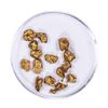 Image 1 : Lot of Gold Nuggets 6.37 grams Total Weight
