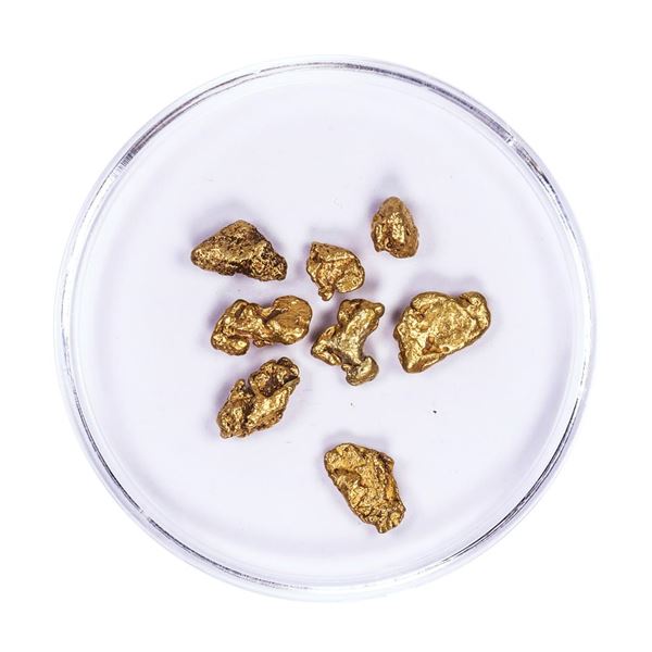 Lot of Gold Nuggets 3.62 grams Total Weight