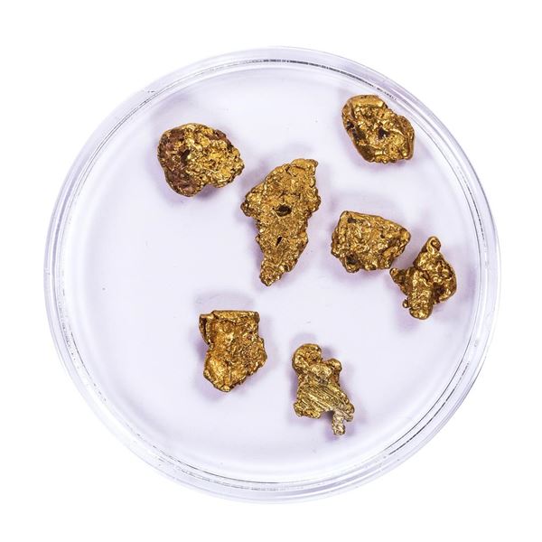 Lot of Gold Nuggets 4.46 Grams Total Weight