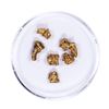 Image 1 : Lot of Gold Nuggets 3.27 grams Total Weight