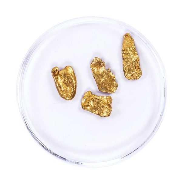 Lot of Gold Nuggets 2.39 Grams Total Weight